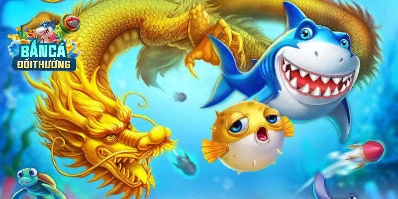 Code bắn cá vui