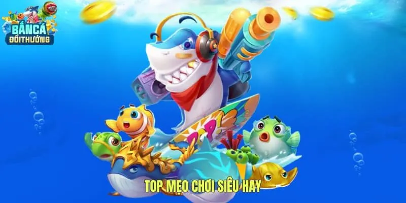Top mẹo chơi siêu hay